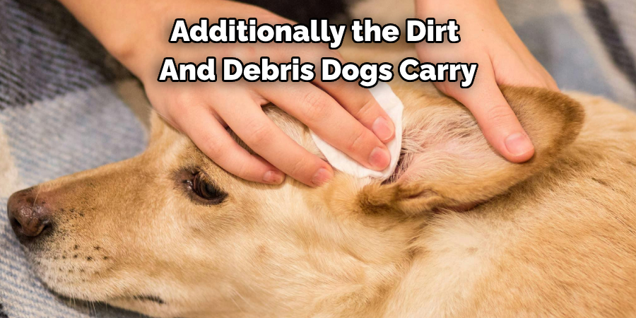 Additionally the Dirt And Debris Dogs Carry