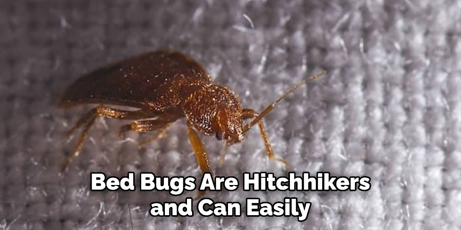 Bed Bugs Are Hitchhikers and Can Easily