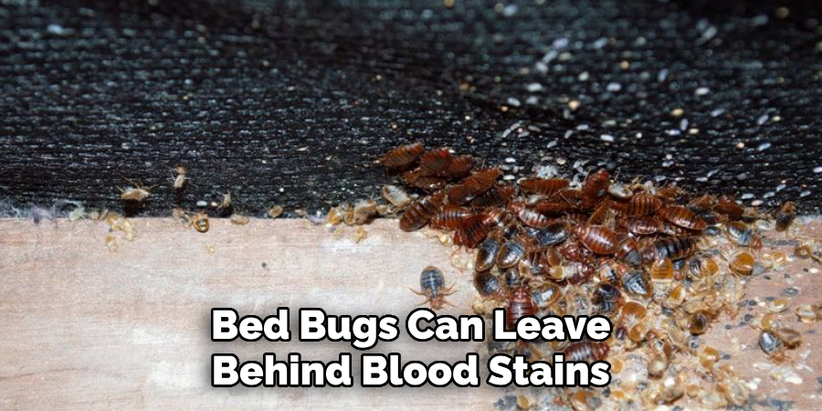 Bed Bugs Can Leave Behind Blood Stains