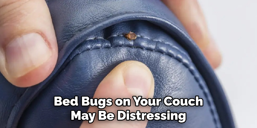 Bed Bugs on Your Couch May Be Distressing