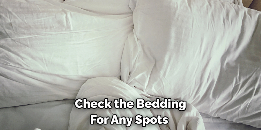 Check the Bedding For Any Spots 
