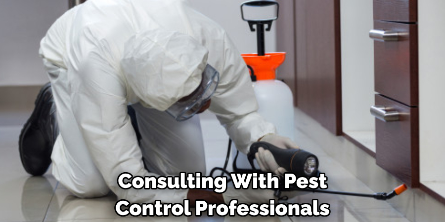 Consulting With Pest Control Professionals