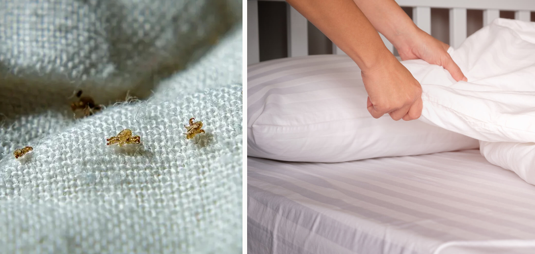 How to Clean Bedding With Lice