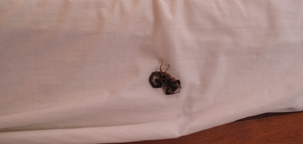 How to Prevent Scorpions From Getting in Your Bed