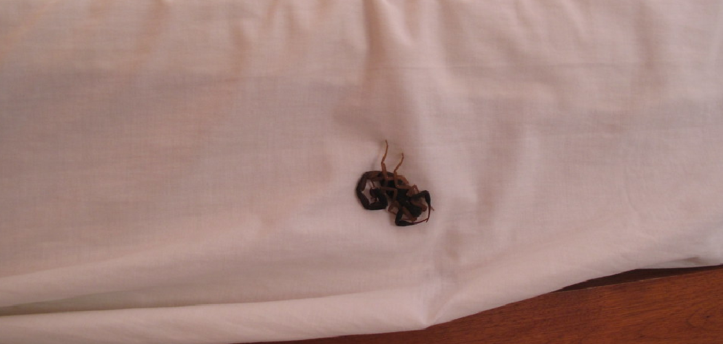 How to Prevent Scorpions From Getting in Your Bed