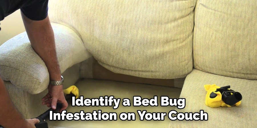 Identify a Bed Bug Infestation on Your Couch