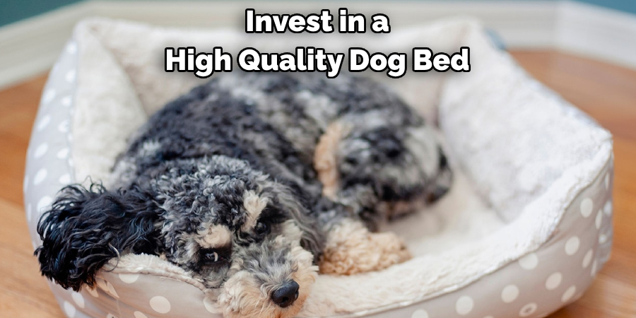 Invest in a High Quality Dog Bed