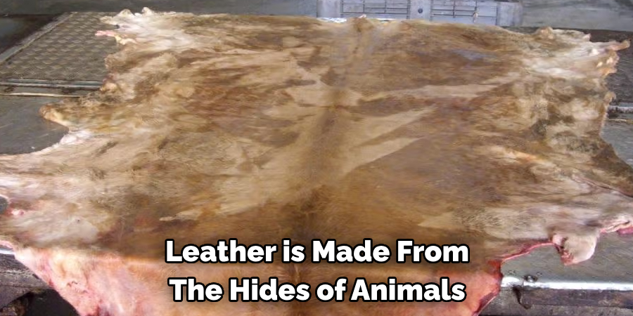 Leather is Made From The Hides of Animals

