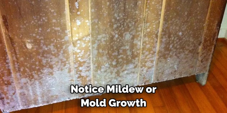 Notice Mildew or Mold Growth