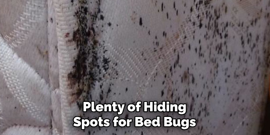 Plenty of Hiding Spots for Bed Bugs
