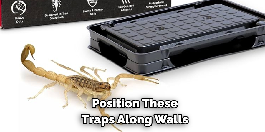 Position These Traps Along Walls