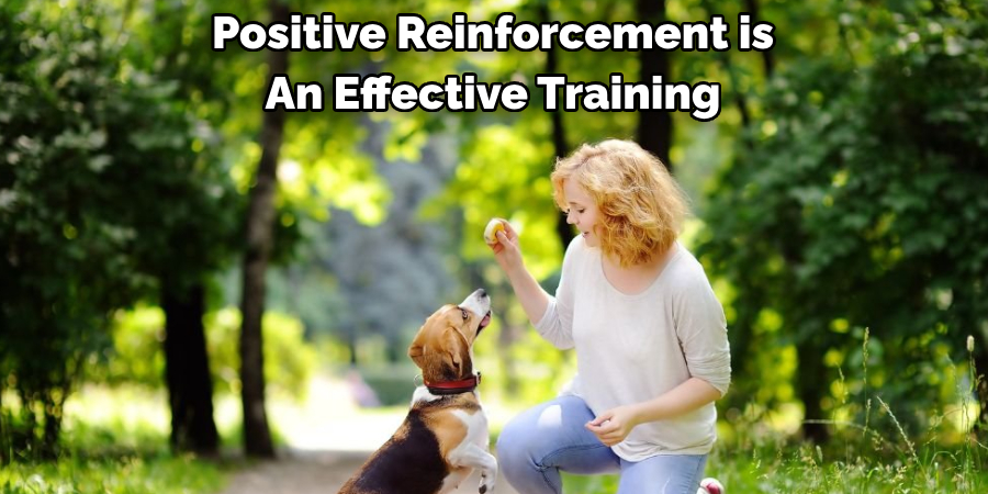 Positive Reinforcement is An Effective Training 