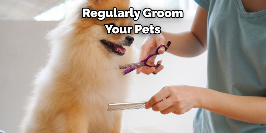 Regularly Groom Your Pets