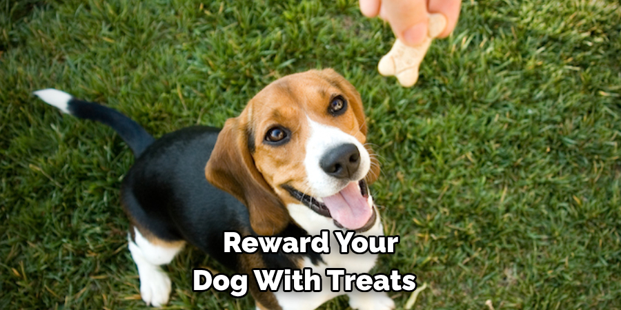 Reward Your Dog With Treats