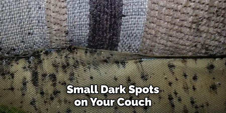 Small Dark Spots on Your Couch