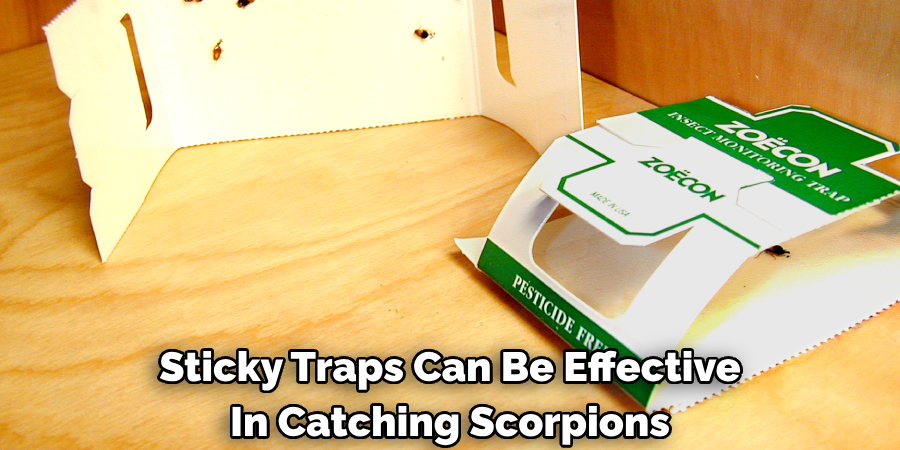 Sticky Traps Can Be Effective In Catching Scorpions