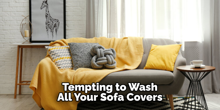 Tempting to Wash All Your Sofa Covers