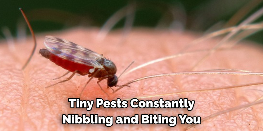 Tiny Pests Constantly Nibbling and Biting You