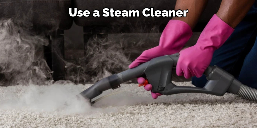 Use a Steam Cleaner