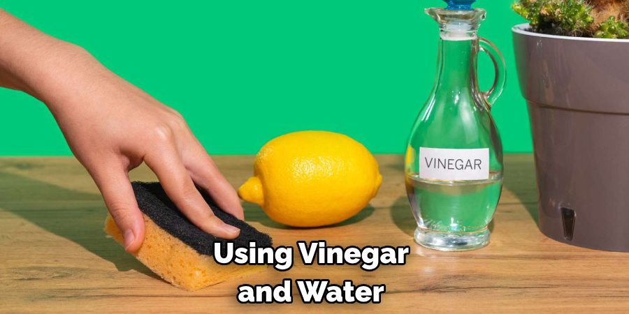 Using Vinegar and Water