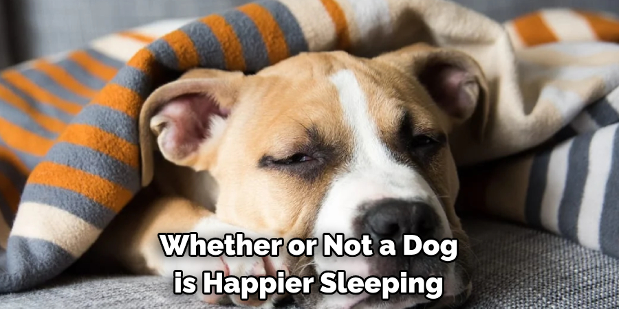 Whether or Not a Dog 
is Happier Sleeping