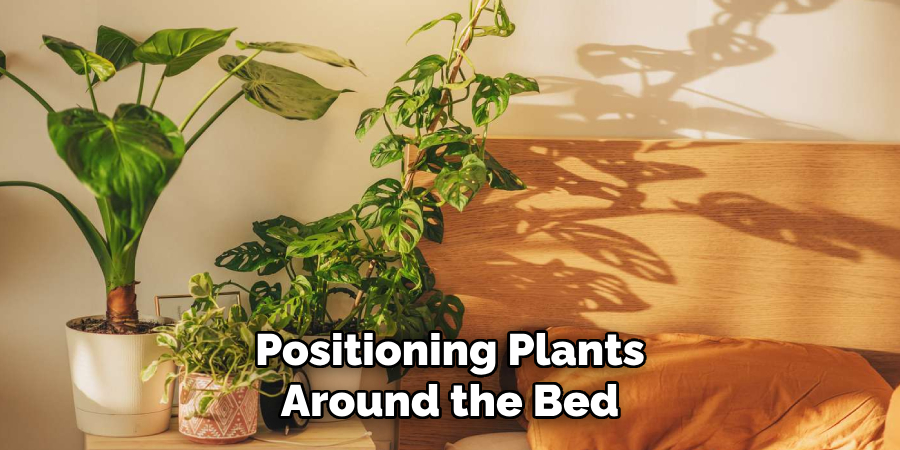 Positioning Plants Around the Bed