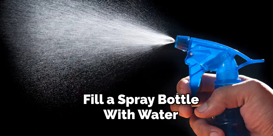 Fill a Spray Bottle With Water