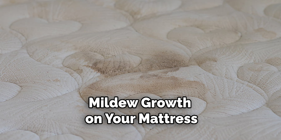 Mildew Growth on Your Mattress