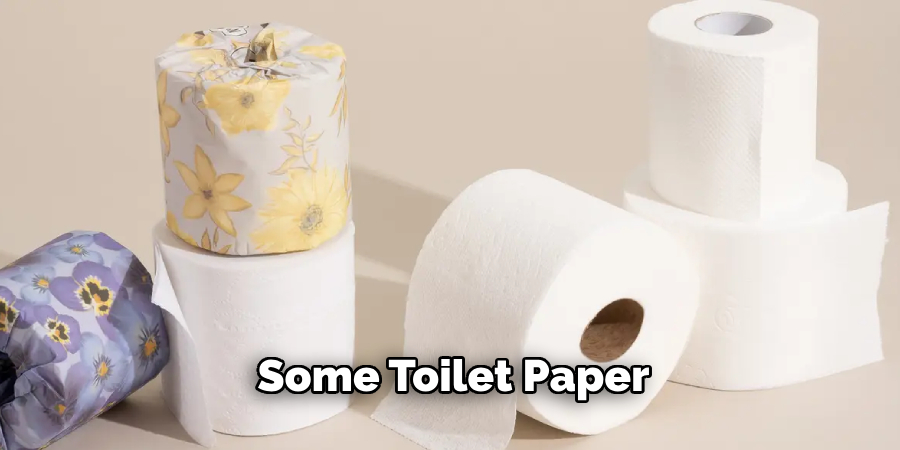 Some Toilet Paper 