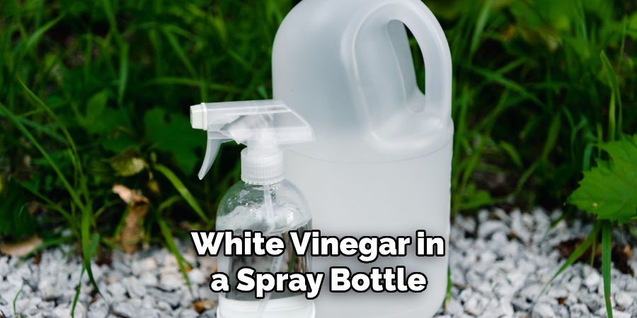 White Vinegar in a Spray Bottle