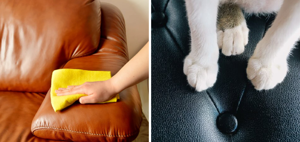 How to Protect Leather Couch From Scratches