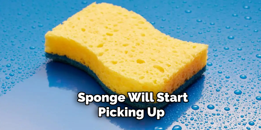 Sponge Will Start Picking Up 