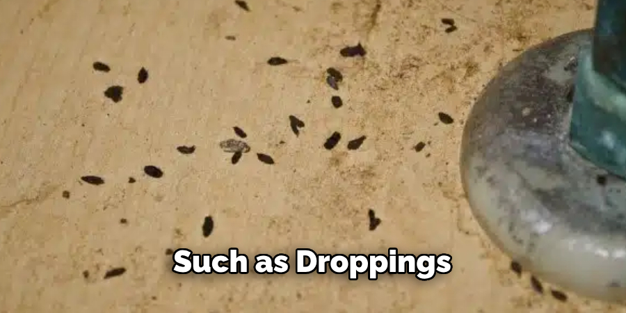 Such as Droppings