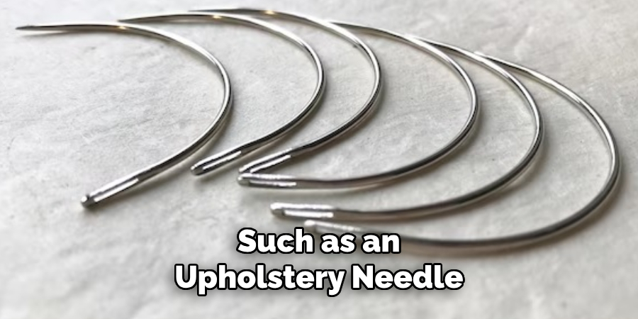 Such as an Upholstery Needle