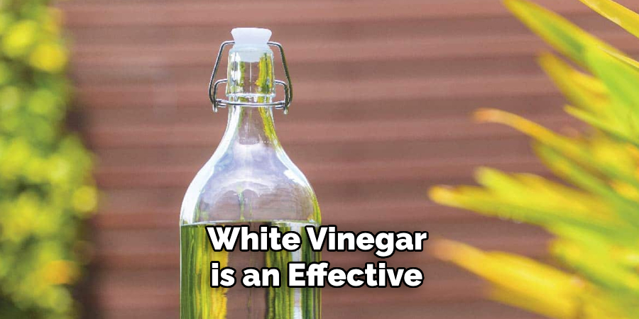 White Vinegar is an Effective 