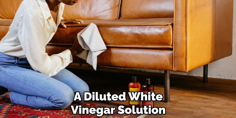 A Diluted White
Vinegar Solution