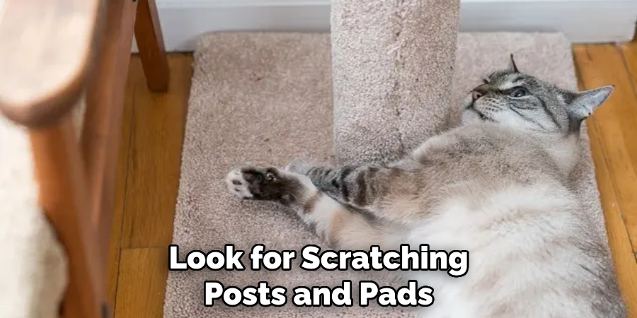 Look for Scratching Posts and Pads