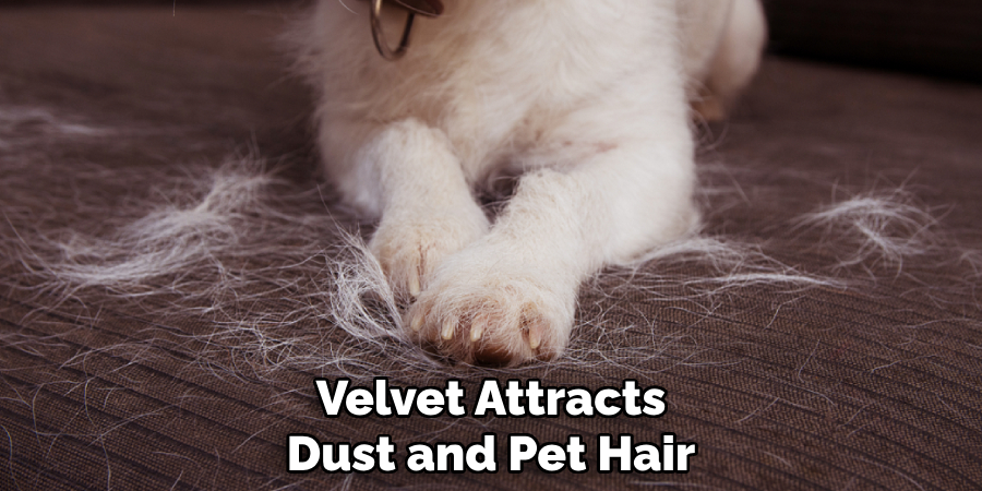 Velvet Attracts Dust and Pet Hair