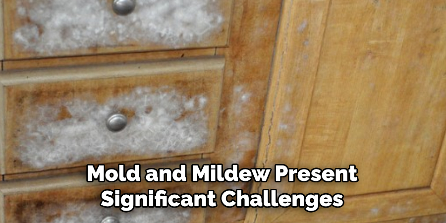 Mold and Mildew Present Significant Challenges