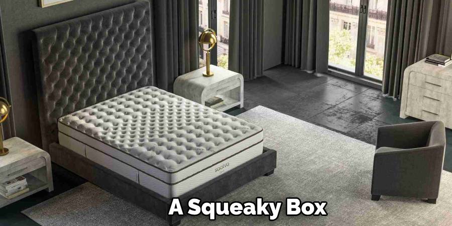 A Squeaky Box