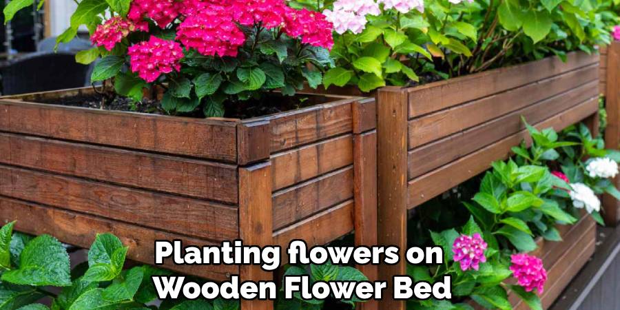 Planting flowers on 
Wooden Flower Bed