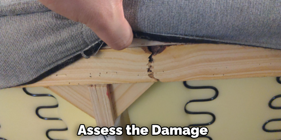 Assess the Damage