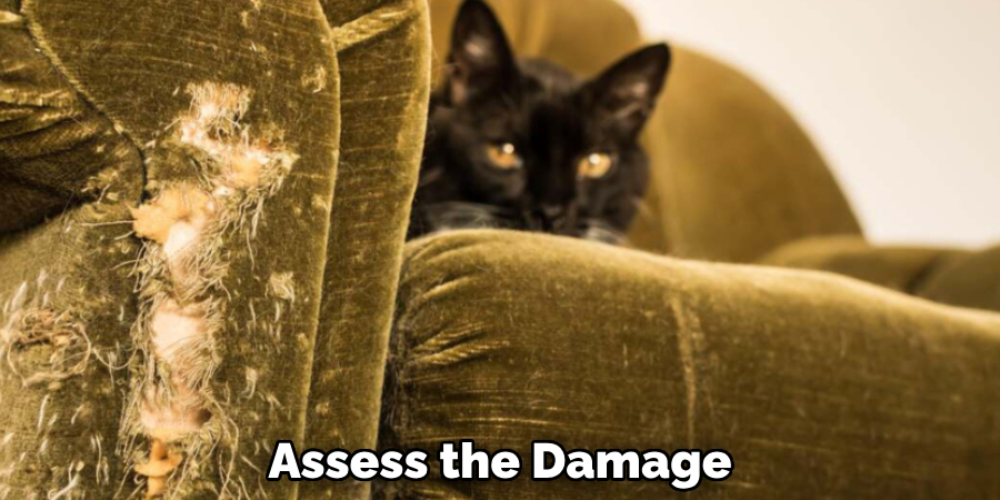 Assess the Damage