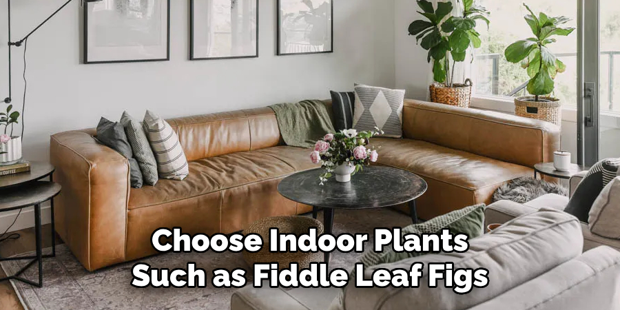 Choose Indoor Plants Such as Fiddle Leaf Figs