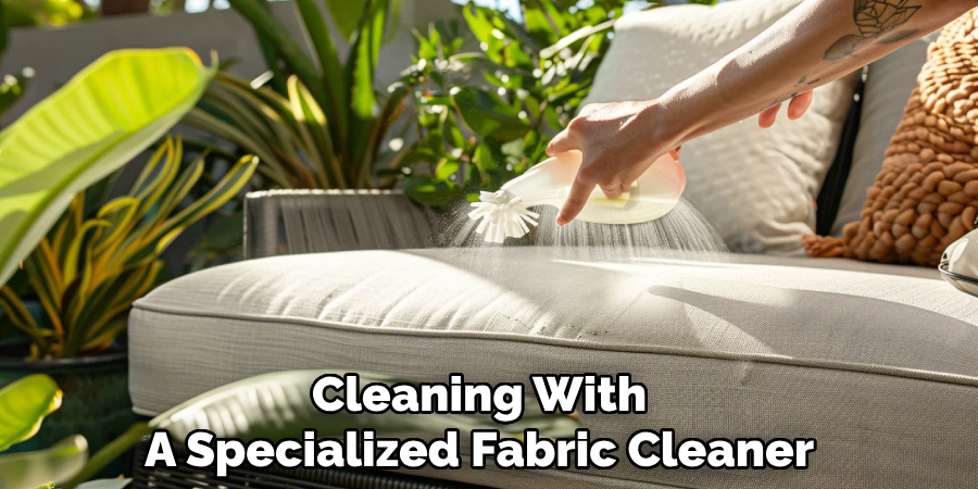 Cleaning With 
A Specialized Fabric Cleaner 
