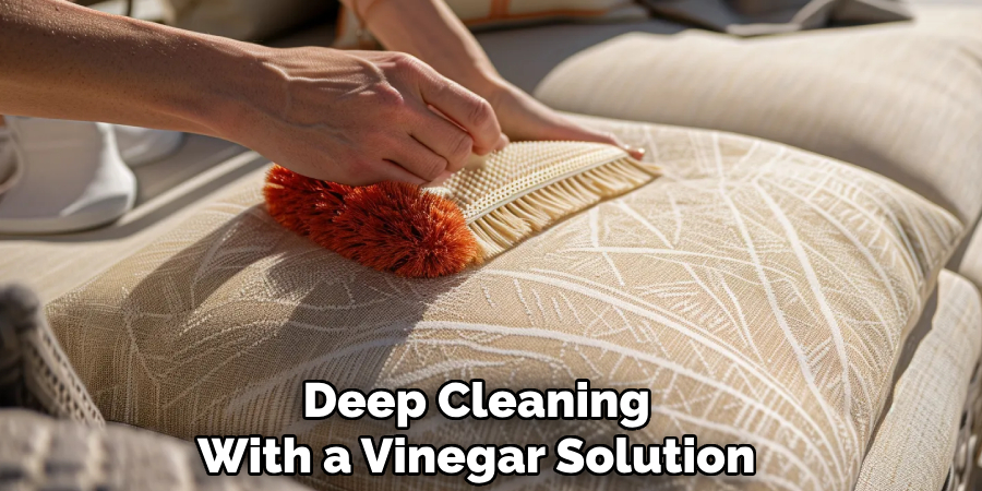 Deep Cleaning 
With a Vinegar Solution