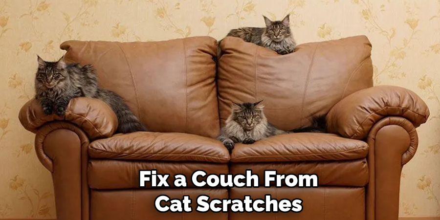Fix a Couch From
Cat Scratches