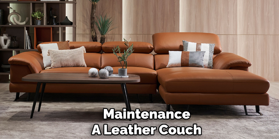 Maintenance 
A Leather Couch