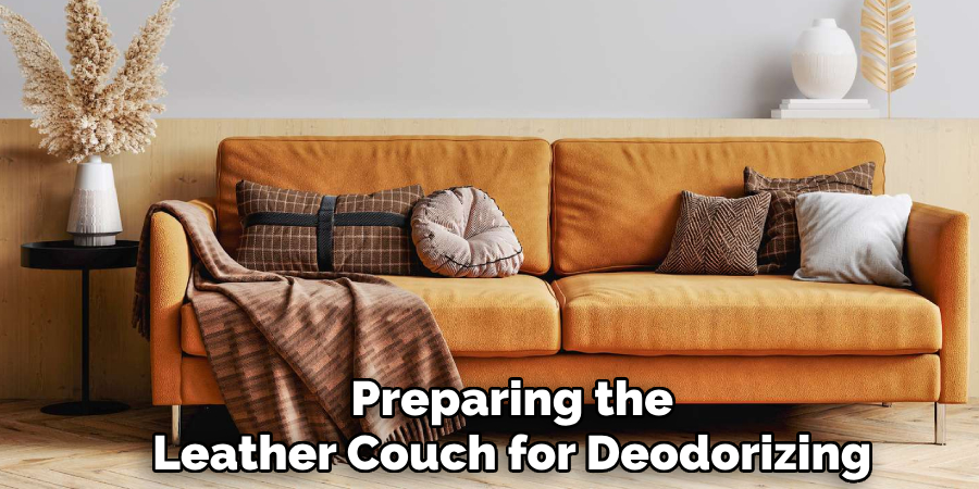 Preparing the 
Leather Couch for Deodorizing