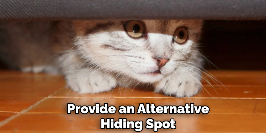 Provide an Alternative
Hiding Spot